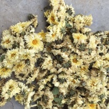 药用菊花袋装