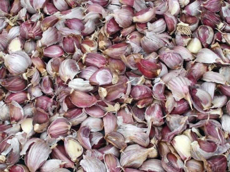 红蒜烹饪应用场景