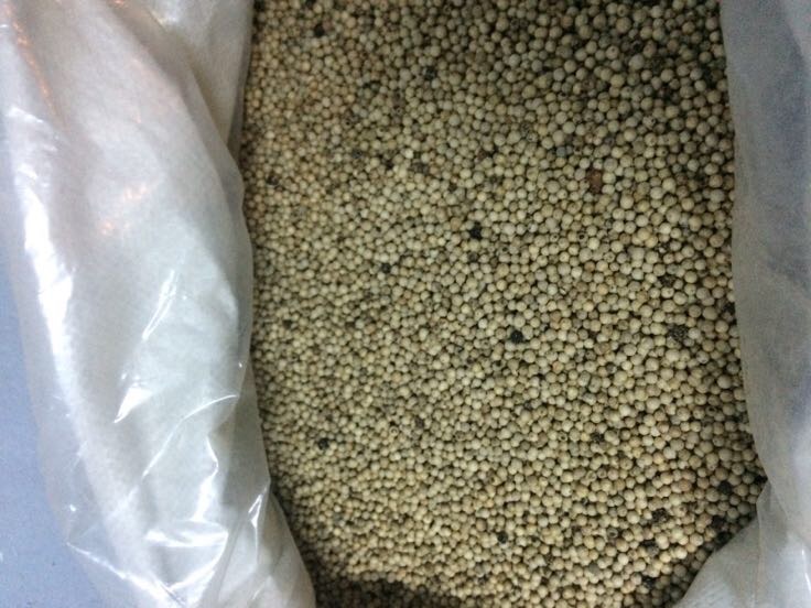 白胡椒厂家出口装运与品牌化包装产线