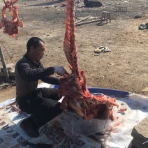 驴肉鲜货
