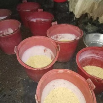 油豆腐干豆腐