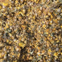 干菊花百花枕—助眠安神养生