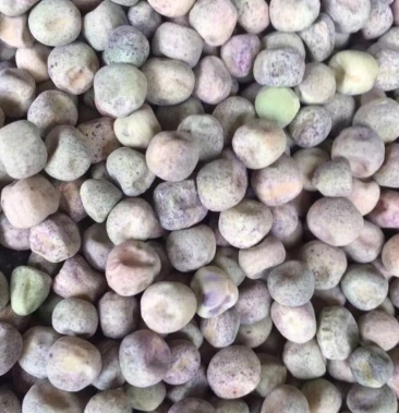 国产麻豌豆豌豆种子豆苗种子芽苗菜龙须菜