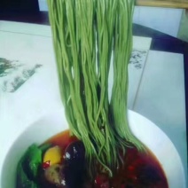 豆腐树苗80~100cm