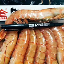 阿根廷红虾L1