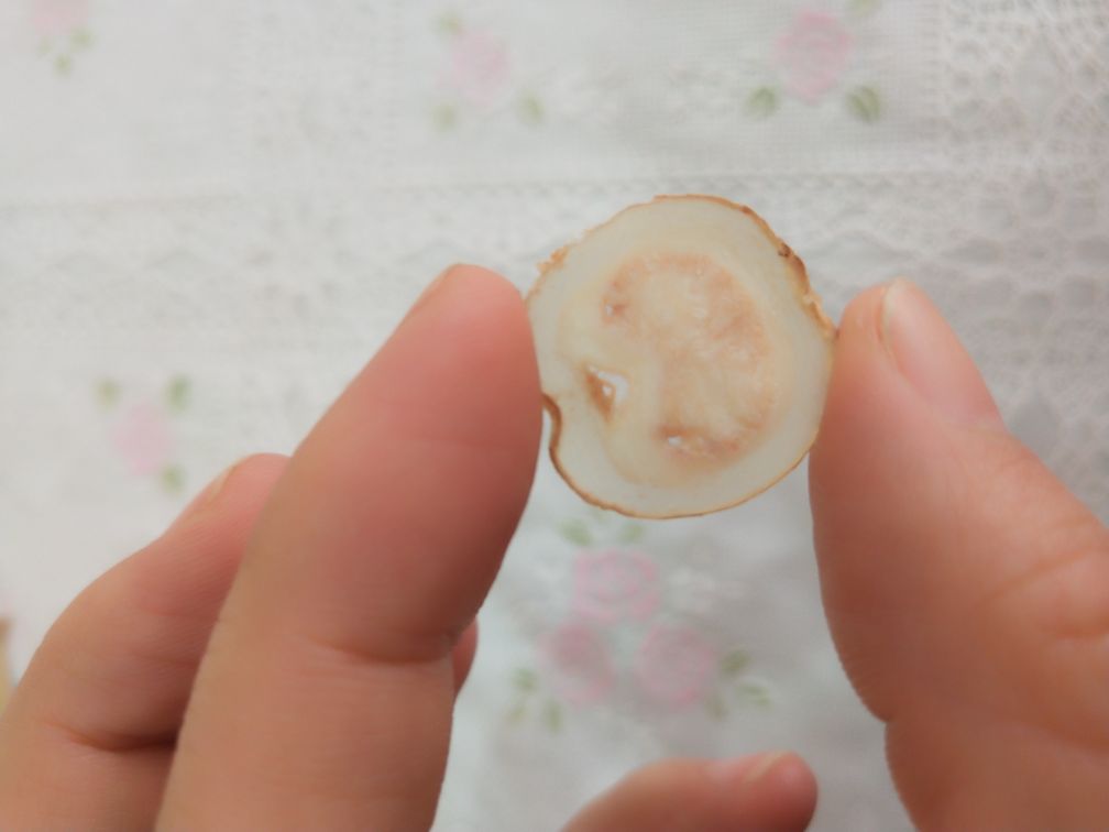 鹿茸与鹿鞭显微结构对比图