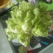 儿菜5两以上
