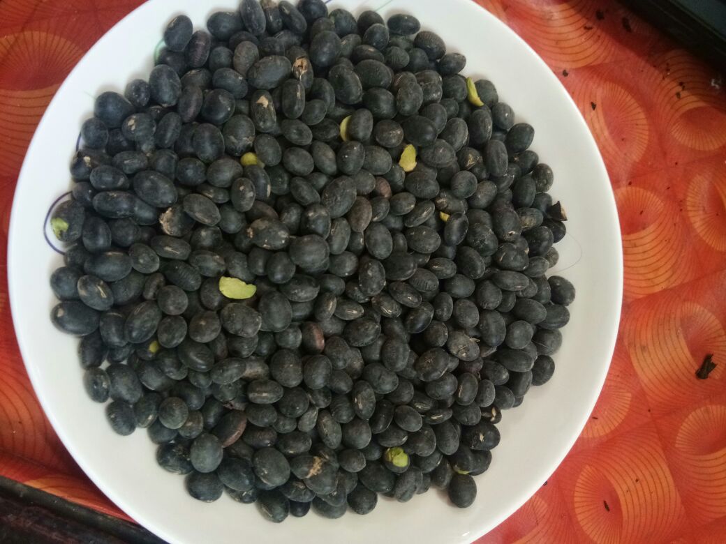 新鲜青豆(带荚与去壳)与干燥黑豆并列摆放,背景为木质餐桌,左侧为翠绿色豆粒,右侧为乌黑发亮的椭圆形黑豆,旁边配有量勺和切开的青豆截面特写,展示内部质地 青豆与黑豆对比图