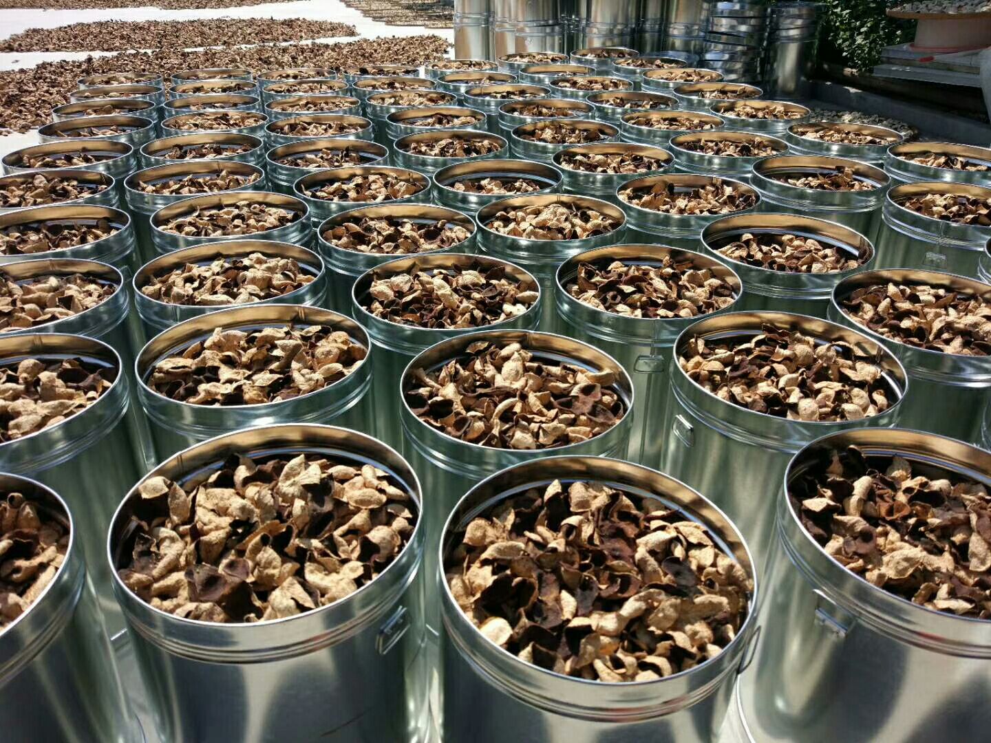 蜜桔皮晒干过程示意图