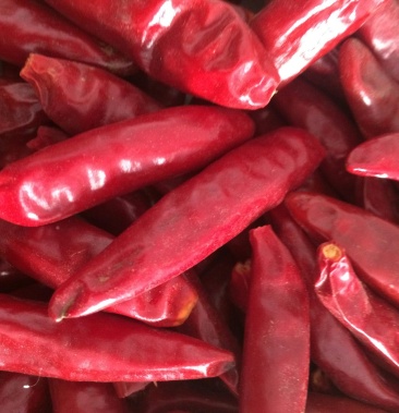 内黄新一代干辣椒9成干通货