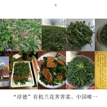 荠菜5~10cm