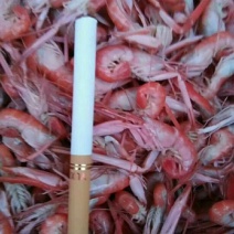 红虾食用冻虾