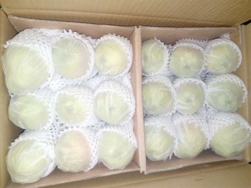 香梨分拣包装车间