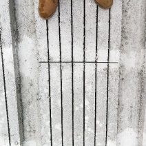 水泥立柱