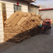 咖啡豆麻袋粮食麻袋土豆麻袋花生米麻袋粮库麻袋铺路麻袋工程