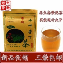 苦丁茶