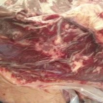 马肉冷藏