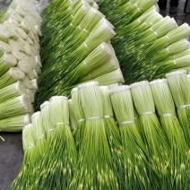汉源蒜苔，嫩，脆，鲜，白嫩，可口，量大，有几百万亩。