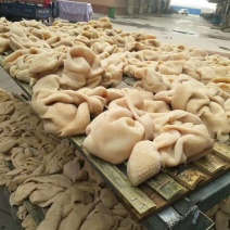 精品羊肚一箱20斤五斤一包常年加工质量保证