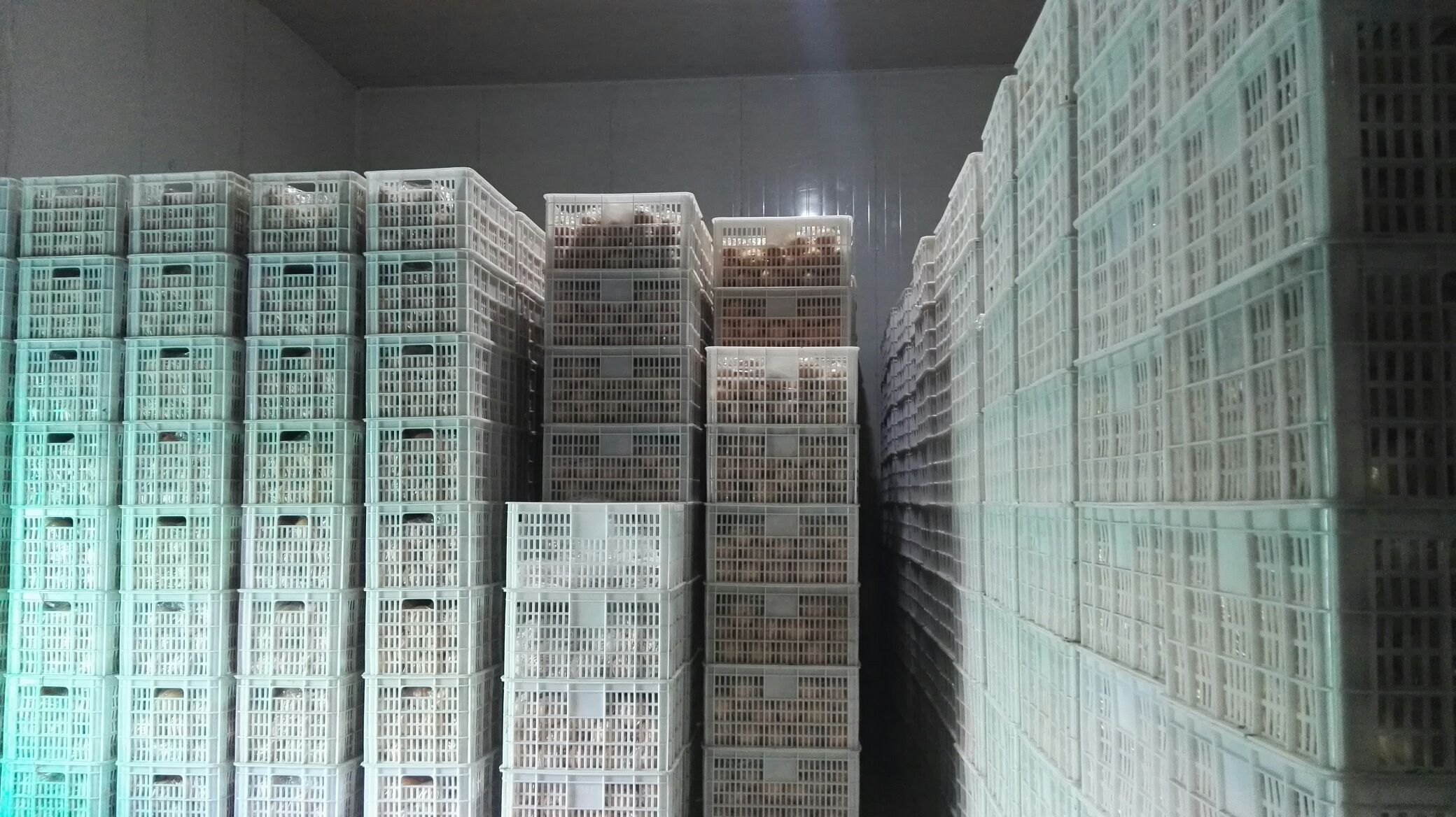 山竹冷藏保存示意图