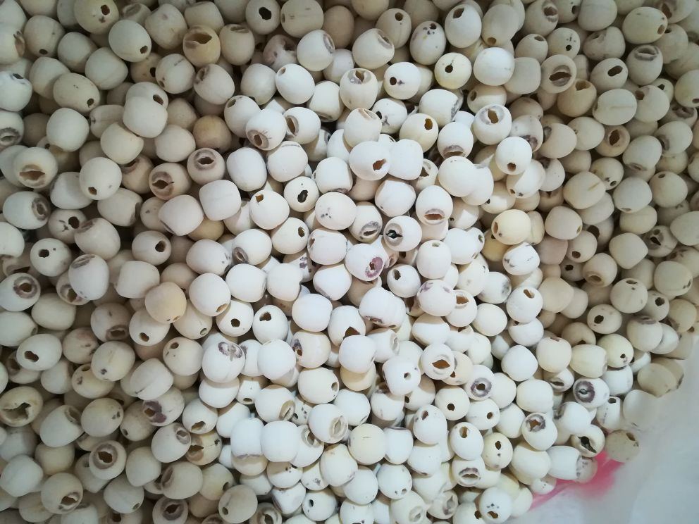 白莲蓉在月饼中的应用