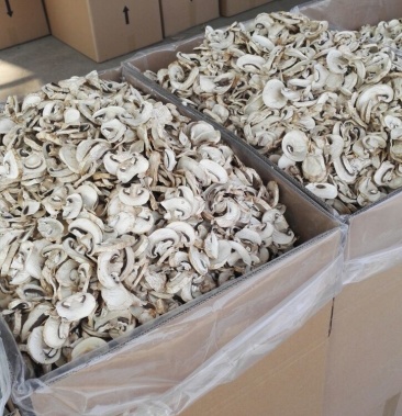 双孢菇双孢菇干片烘干整菇口蘑白蘑菇