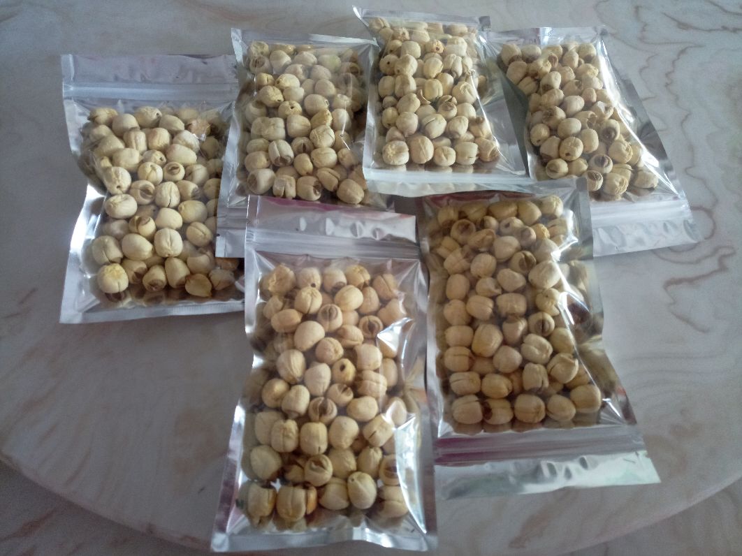 白果与白莲子对比图