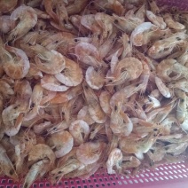 对虾干