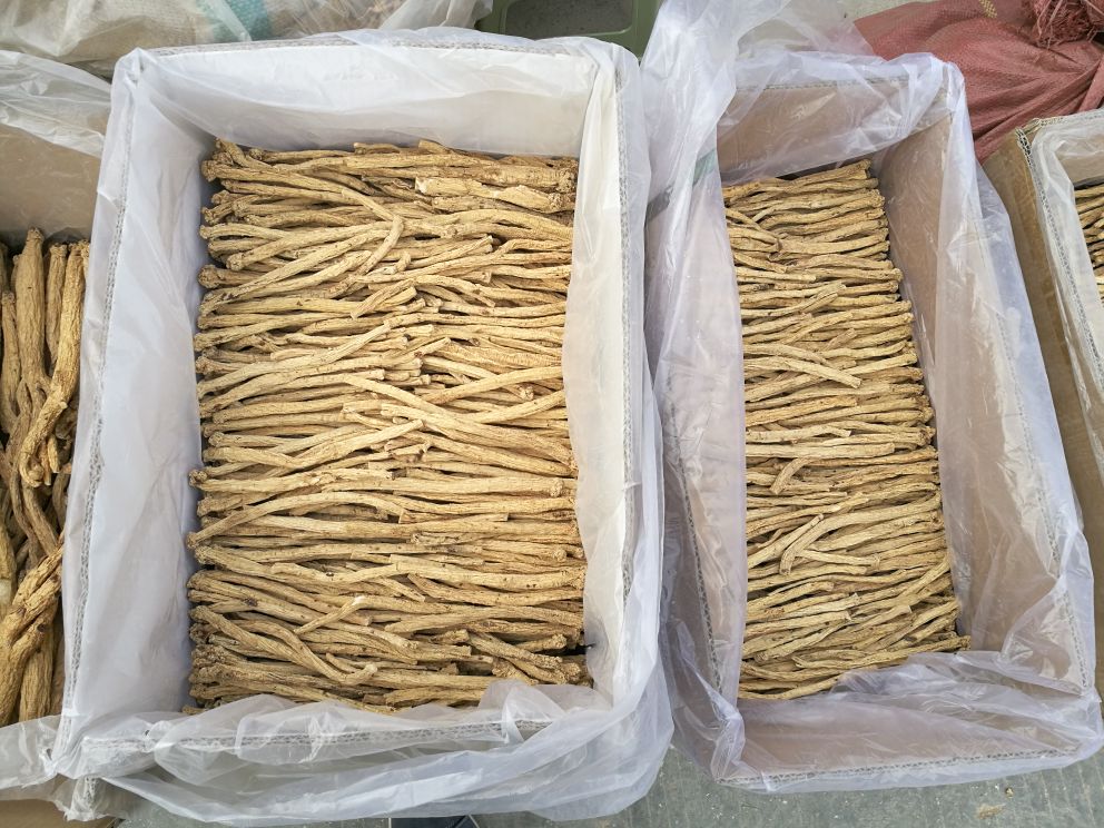 高山沙参干货展示图