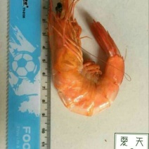 烤虾，对虾，开袋即食1斤包邮