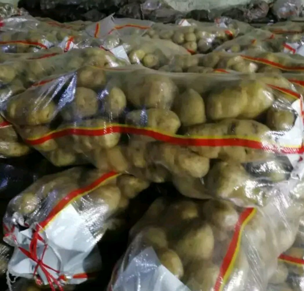 冰箱内景：透明保鲜盒中盛放着焯水后冷却的淡黄色土豆丁，整齐排列于冷藏格架上