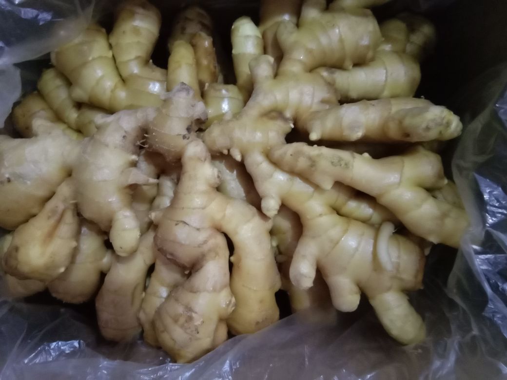 姜片与辅料图