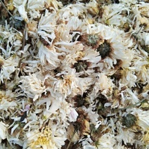 怀菊花散装