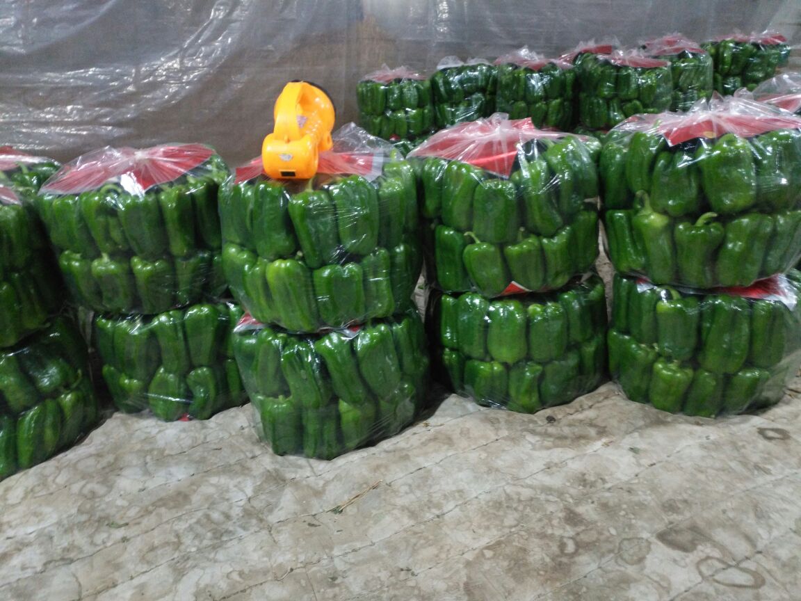 圆绿椒在市场销售场景