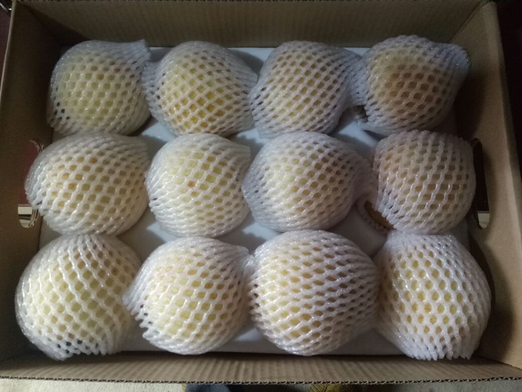 家庭冰箱中黄金梨冷藏存放场景