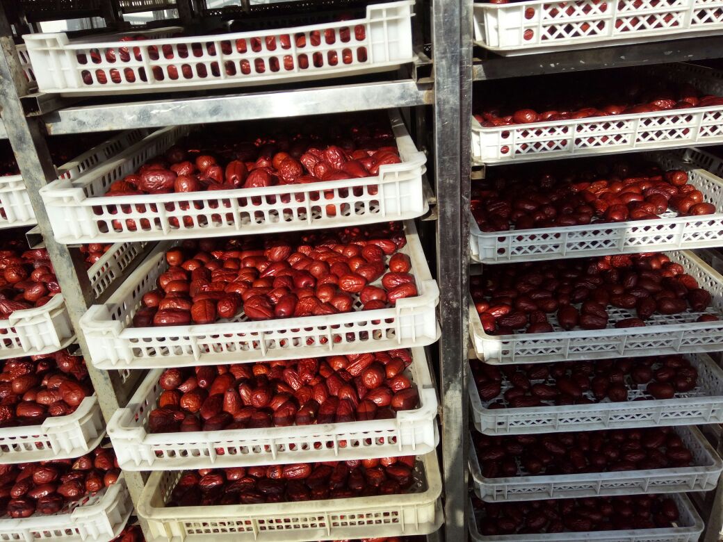 骏枣产品陈列图