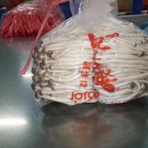 蟹味菇特级