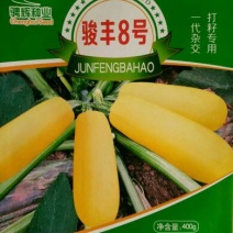 葫芦种子