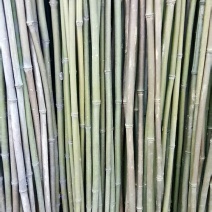 钢竹3~4m