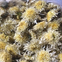药用菊花袋装