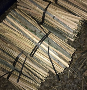 [竹片批发]竹片生蚝养殖竹片价格0.06元/个 - 一亩田