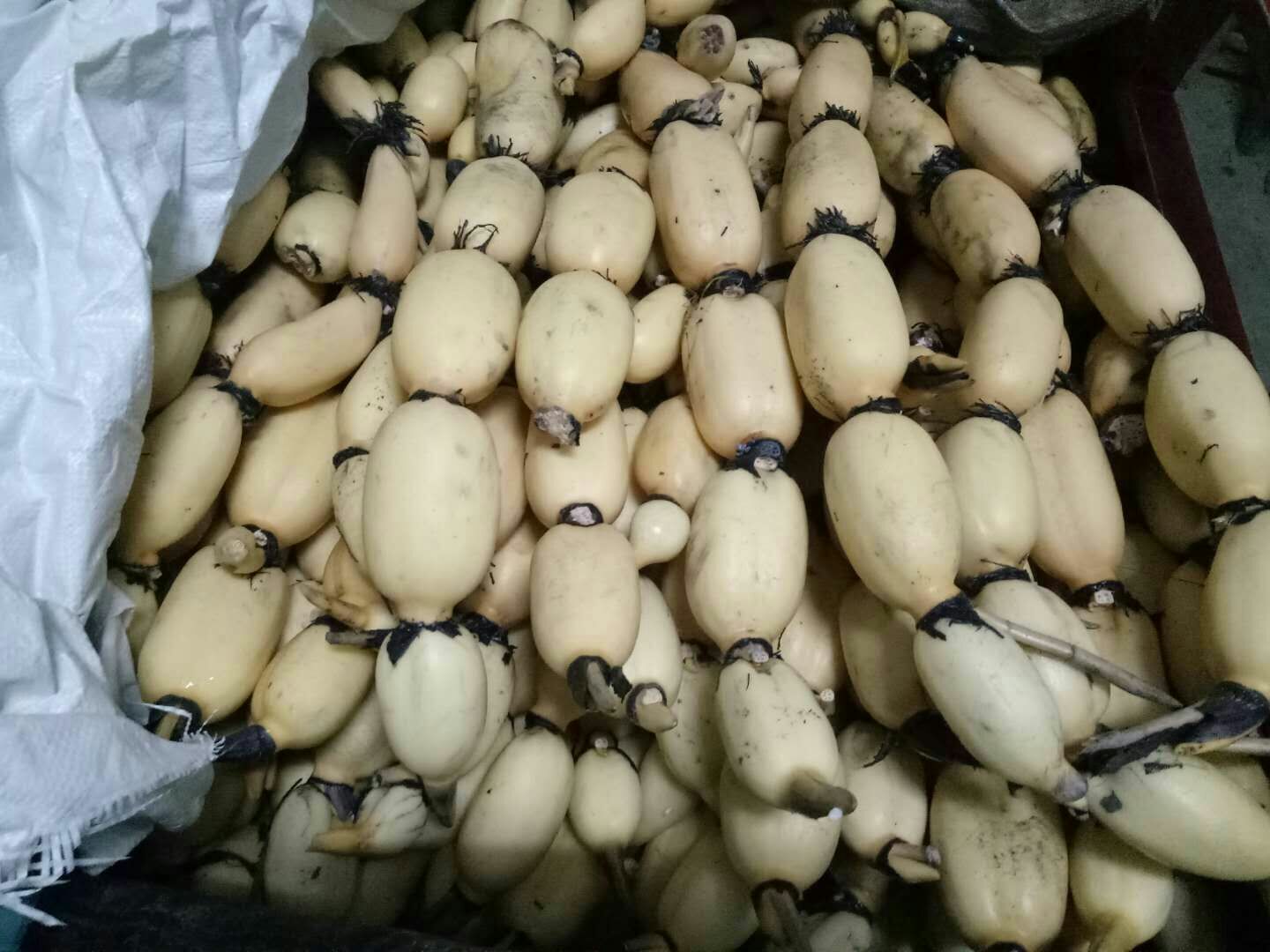 一间明亮洁净的农产品加工厂内,全自动流水线正在对新鲜白莲藕进行喷淋清洗、去皮、切片作业,工作人员在监控设备运行,传送带上整齐排列着洁白的藕片,体现工业化加工水平 现代化莲藕加工厂内的自动化清洗切割生产线