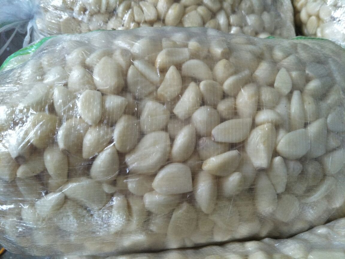 一个透明玻璃米缸中,白色大米中间放置了几颗去皮的蒜米(蒜瓣),周围散落着几片蒜皮,背景为厨房环境,光线柔和,突出天然储粮方式 蒜米放入米缸示意图