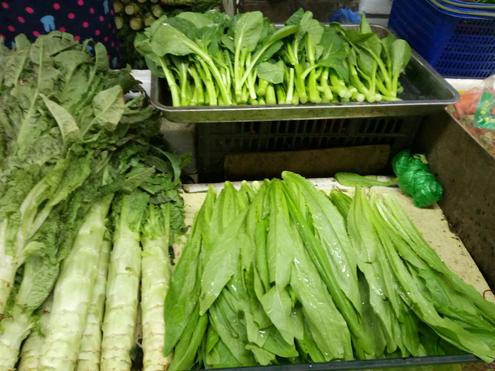油麦菜中混入莴笋的识别方法
