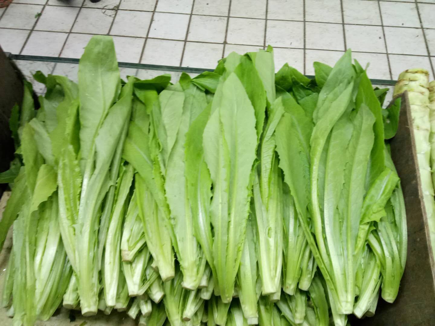 油麦菜和葱头炒制前的食材准备