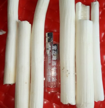 重庆野生通草大通草通花梗