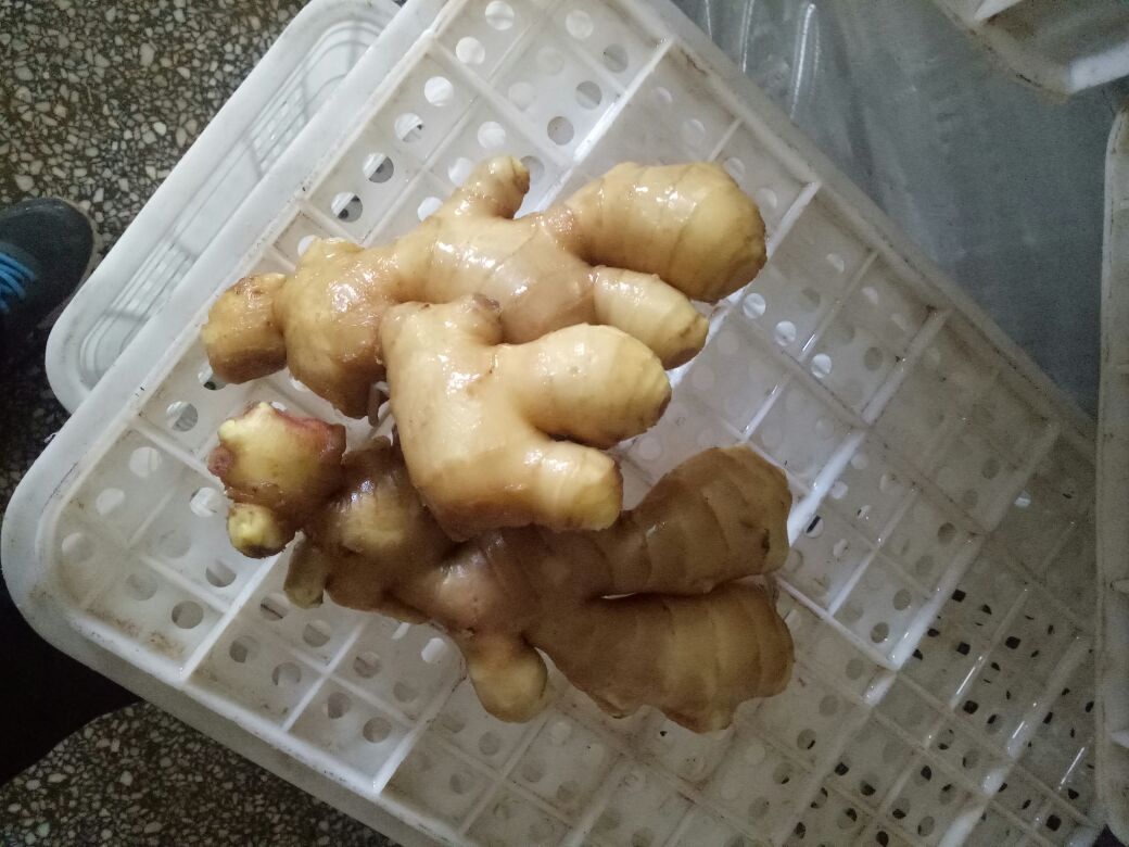 老姜炖汤场景图