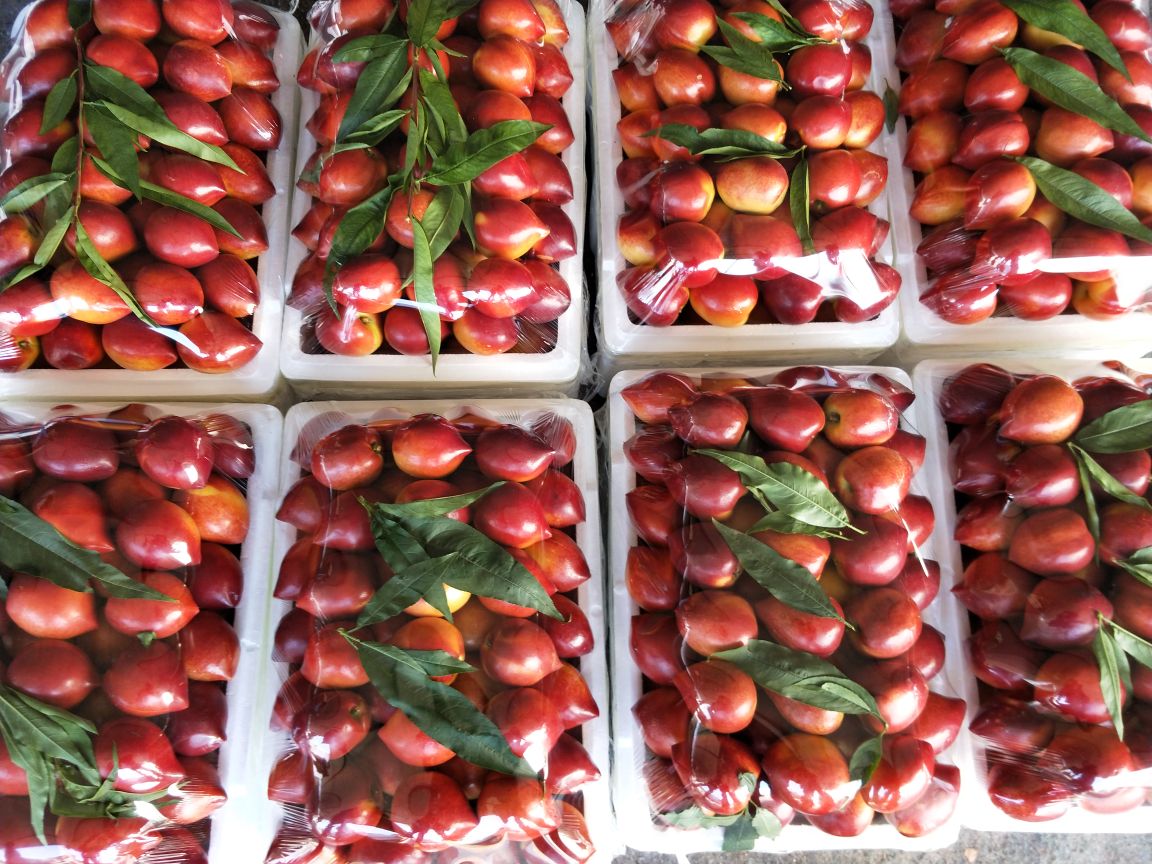 中油18号油桃电商包装与销售场景