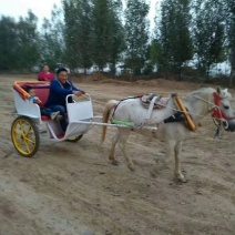 肉马400~500kg