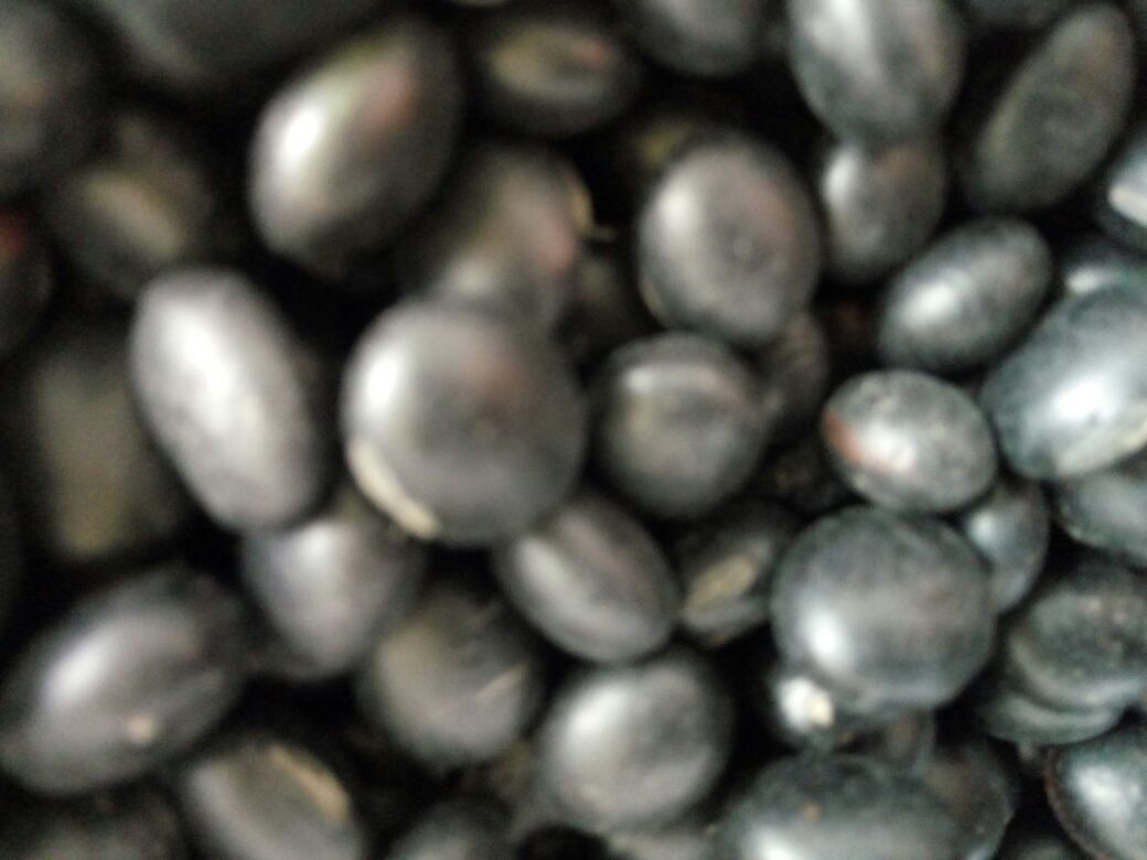 特写镜头展示一杯刚制作完成的黑豆红豆豆浆,色泽呈深棕红色,质地顺滑,杯子置于浅灰色桌面上,背景有不锈钢锅具和玻璃储物罐,突出天然无添加的家庭制作氛围 一杯打好的黑豆红豆豆浆放在白色瓷杯中,表面细腻有泡沫,旁边配有煮锅和原料罐